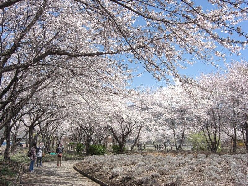 Minshuku Fugakuso Hotel Fujikawaguchiko Bagian luar foto